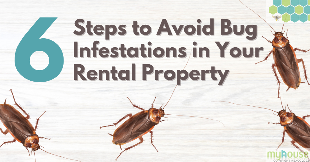 How Manchester Landlords Can Beat Bug Infestations