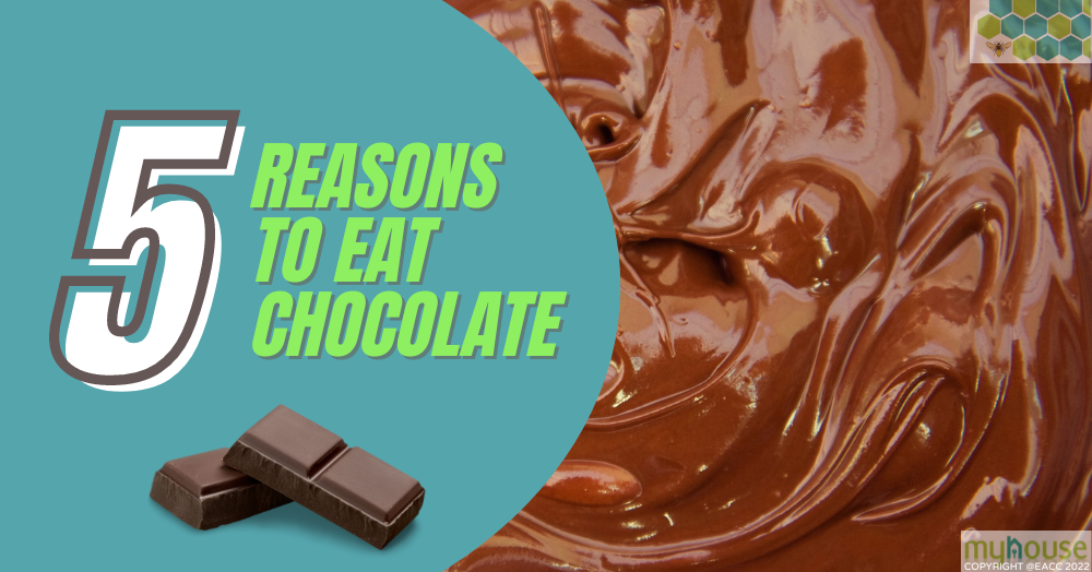 Five Reasons to Eat Chocolate myhouse