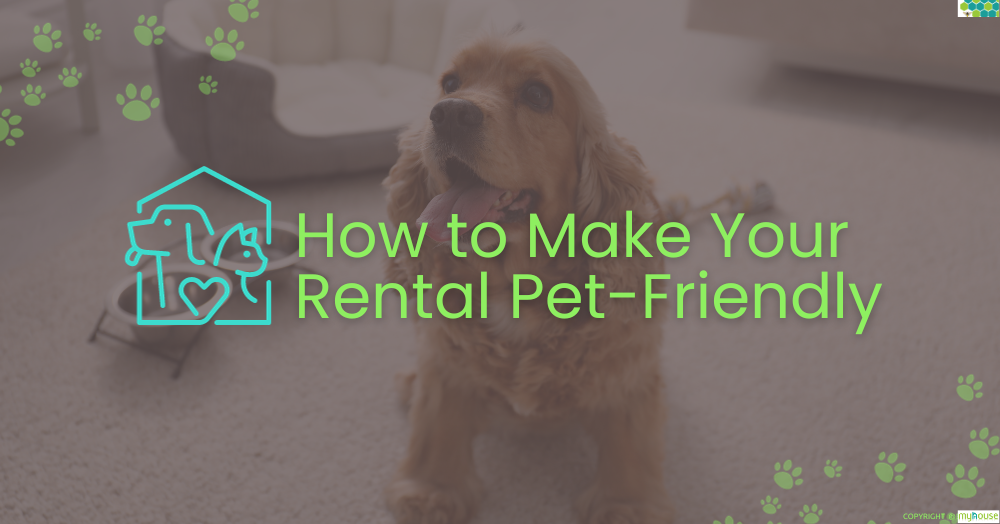 How to Be a PetFriendly Landlord in Manchester myhouse